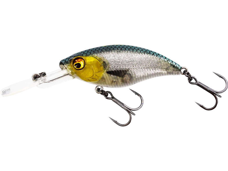 Westin Buzzbite Lures