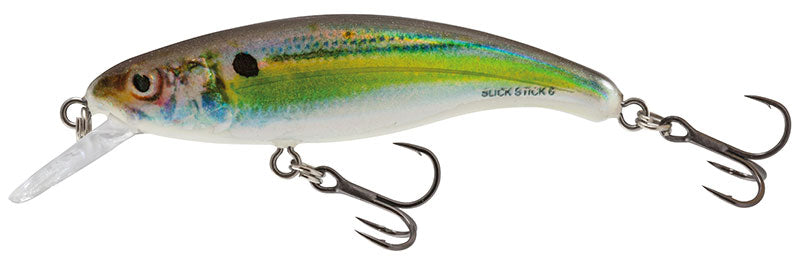 Salmo Slick Stick 6 Floating