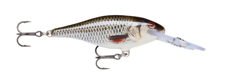 Rapala Shad Rap 7cm 8g