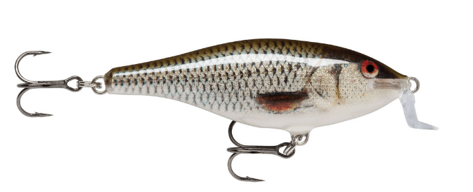 Rapala Shallow Shad Rap 5cm 5g