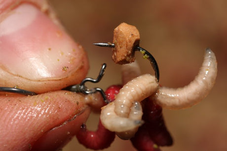 Korda Maggot Klip - Vale Royal Angling Centre